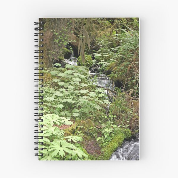 Item preview, "Creek and Lavish Ground Cover" designed and sold by Lynn Bawden.