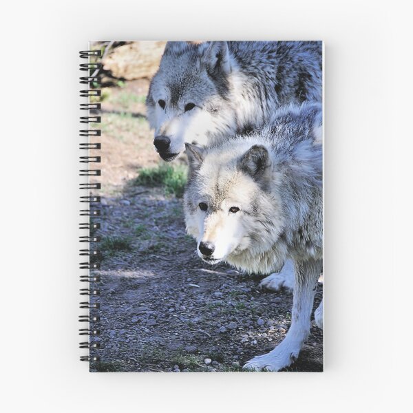 Item preview, Outlook designed and sold by Mark Bolen.