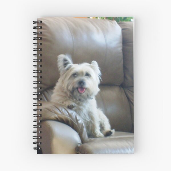 Item preview, A dogs best friend (The couch) designed and sold by Lori Durocher.