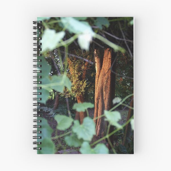 Item preview, Art in My Backyard designed and sold by TheAMA.