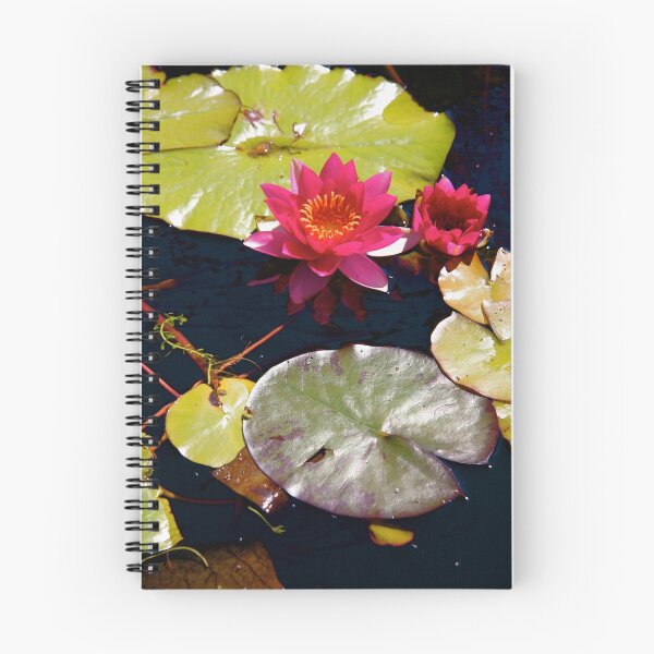 Artikelvorschau, Water Lily entworfen und verkauft von Ray4cam.