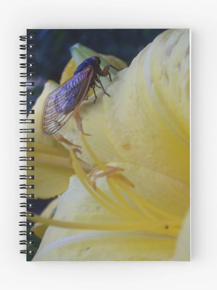 Thumbnail 1 of 3, Journal, Friends designed and sold by Raven Clark.
