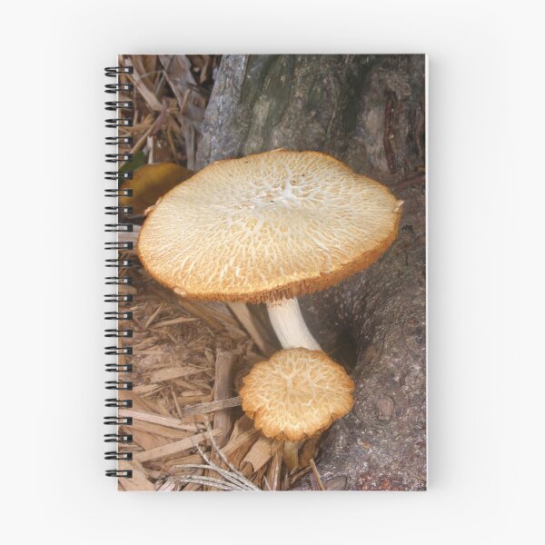 Item preview, rusty mushroom designed and sold by suzanne3sg.