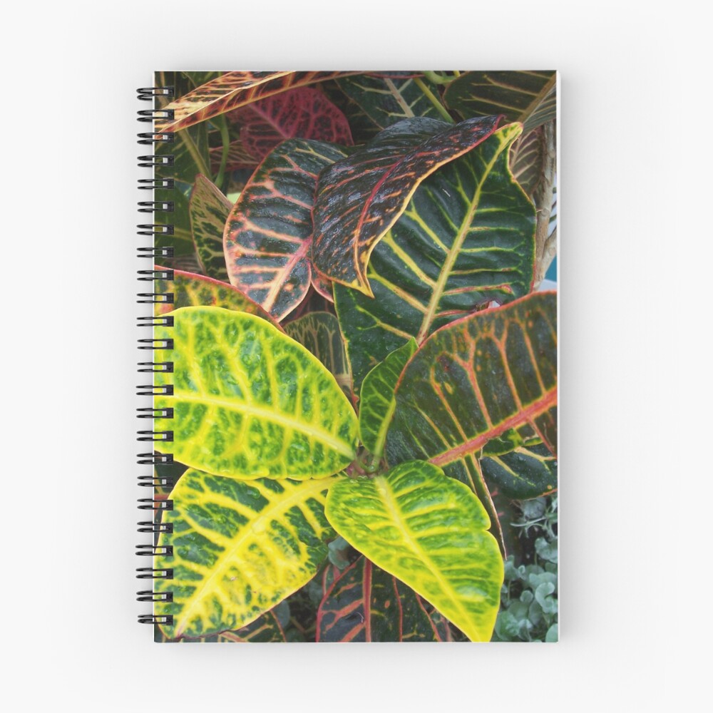 Item preview, Spiral Notebook designed and sold by RaveNLee.