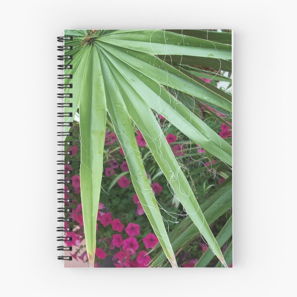 Artikel-Vorschau.