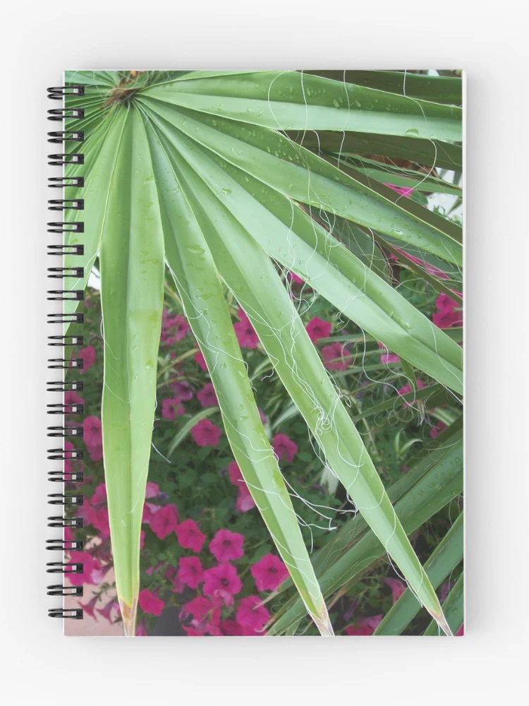 Thumbnail 1 of 3, Journal, designed and sold by Raven Clark.