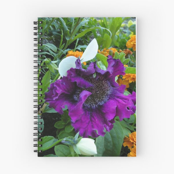 Item preview, Petunia hybrida grandiflora superbissima nana designed and sold by elena7.