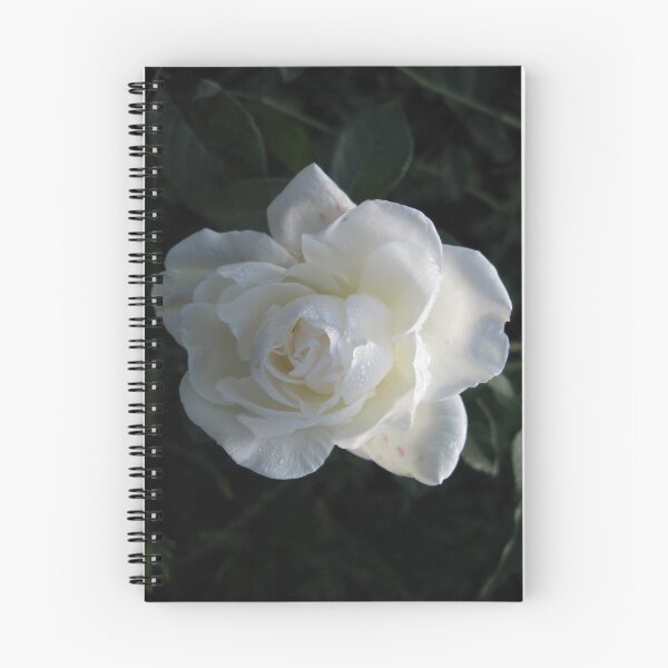 Item preview, Dewy Rose designed and sold by Jen7.