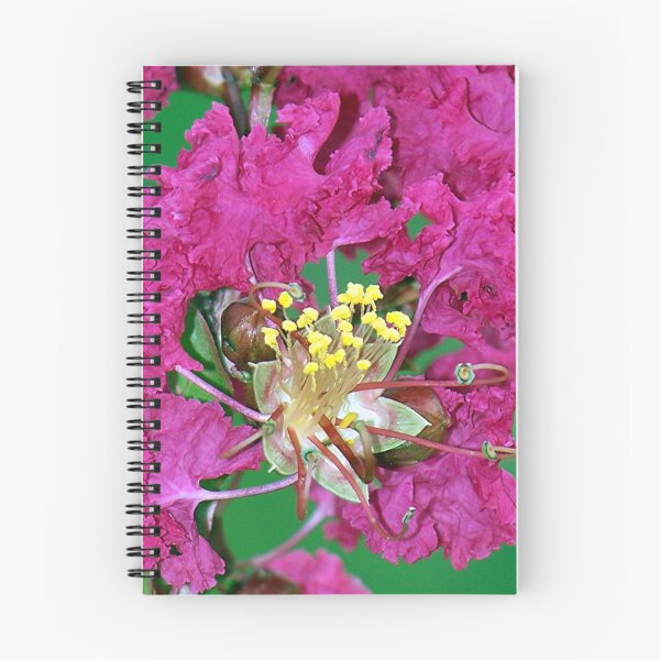 Item preview, Pink Crepe Myrtles designed and sold by Glenna Walker.