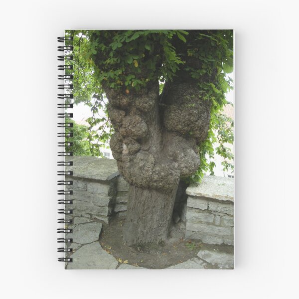 Artikelvorschau, the old city tree entworfen und verkauft von elena7.