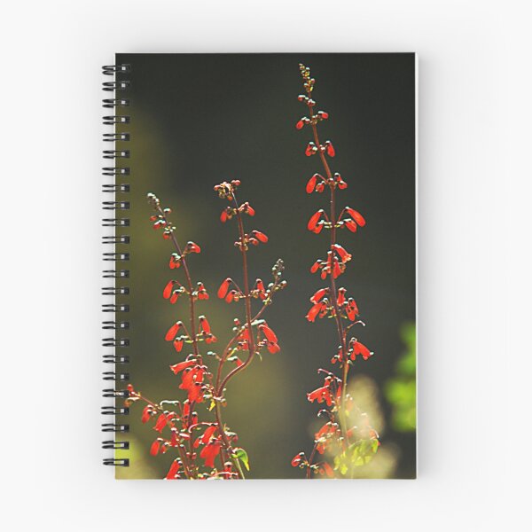 Artikelvorschau, Backlit Wildflowers entworfen und verkauft von Ryan Houston.