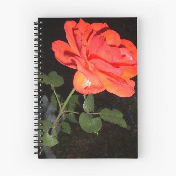 Aperçu de l'œuvre Roses are love's truest language créée et vendue par Ellaine Walker.