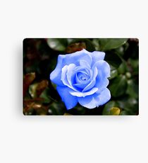 Only When the Moon Is Blue... Canvas Print
