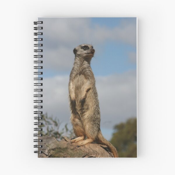 Item preview, Meerkat lookout designed and sold by Nick Hunt.