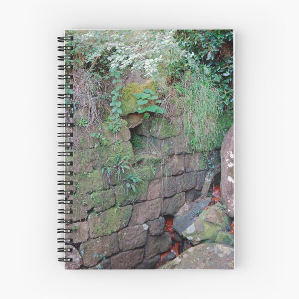 Item preview, Rock Culvert of the Thomas James Bridge - Great North Road designed and sold by Bev Woodman.