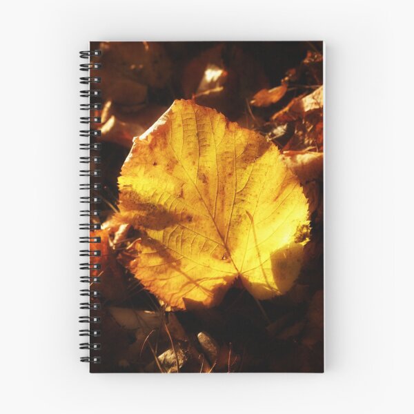 Item preview, Autumn designed and sold by Amberino.