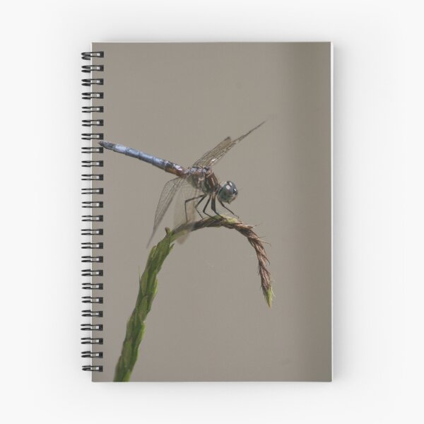 Item preview, HOOKED designed and sold by Dana Yoachum.