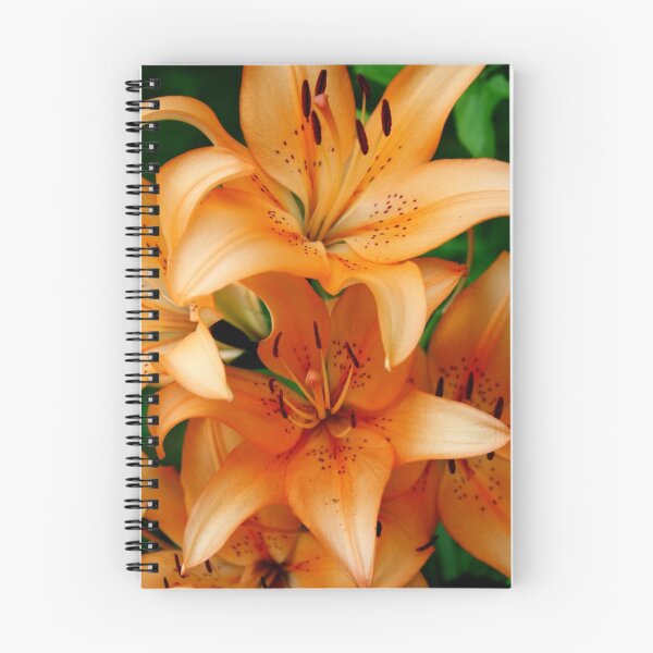 Item preview, Lillies of the Field 3 designed and sold by Gretchen  Mueller Steele.
