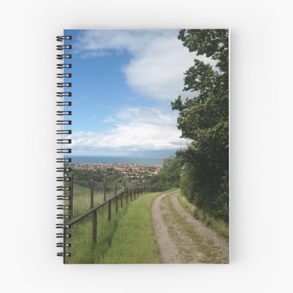 Item preview, The Path designed and sold by Raam Shanker.