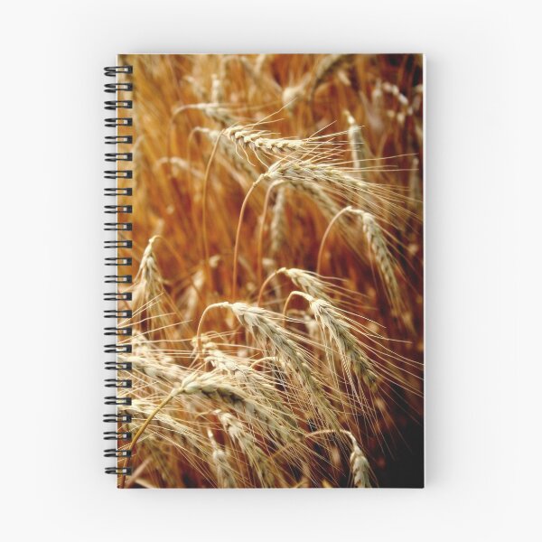 Item preview, At Field's Edge designed and sold by Gretchen  Mueller Steele.