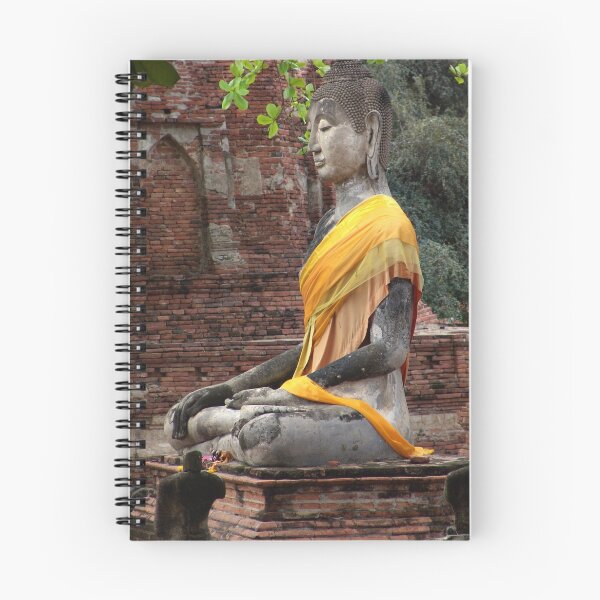 Item preview, Buddha And Ruins designed and sold by PixPlanet.