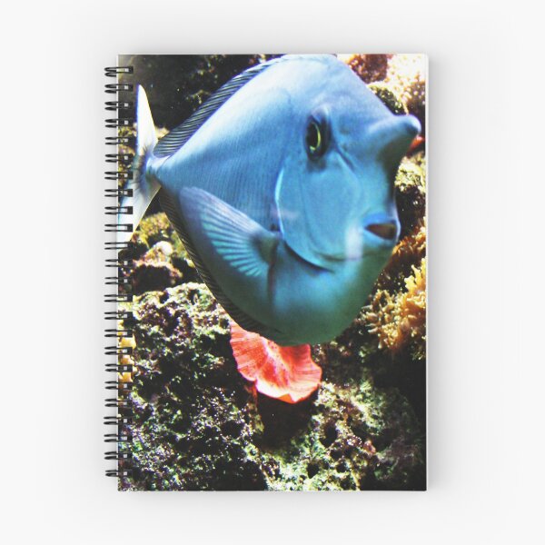 Item preview, Funny Face Fish  designed and sold by ginnymac.