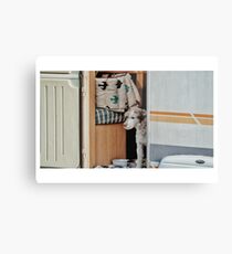 Isle Of Dogs Metal Print