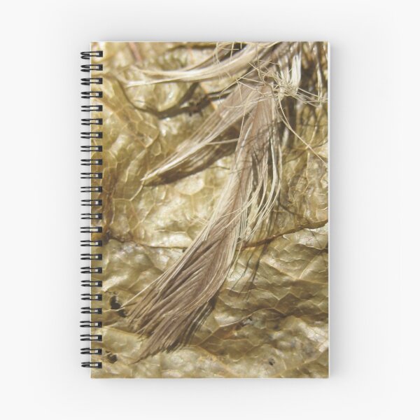 Item preview, feather and leaf in summer woods designed and sold by Laurkat.