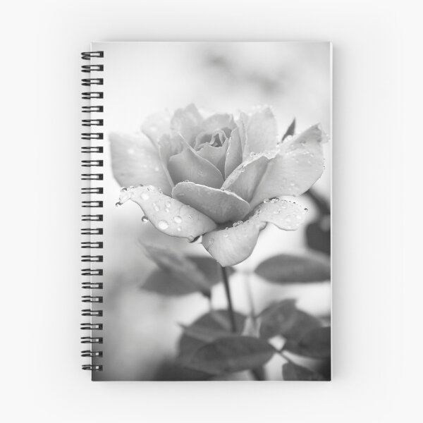 Item preview, Sincere designed and sold by Jonicool.