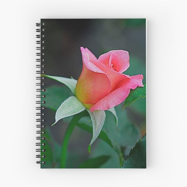 Item preview, Courier's Rose designed and sold by Michele Duncan IPA.