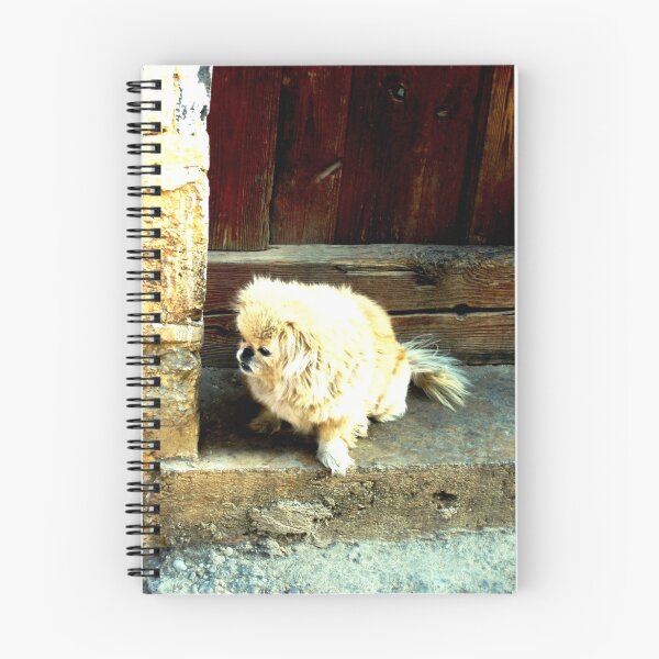 Item preview, The lazy one designed and sold by Yulia Dreyzis.