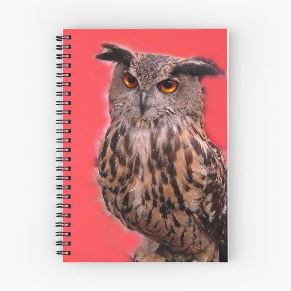 Item preview, Luna, the owl. designed and sold by Fabrizia Tocchini.
