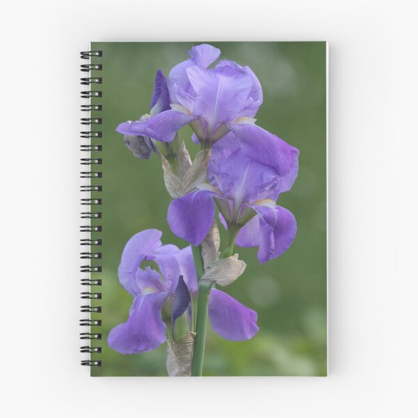 Artikelvorschau, blue iris entworfen und verkauft von odile.