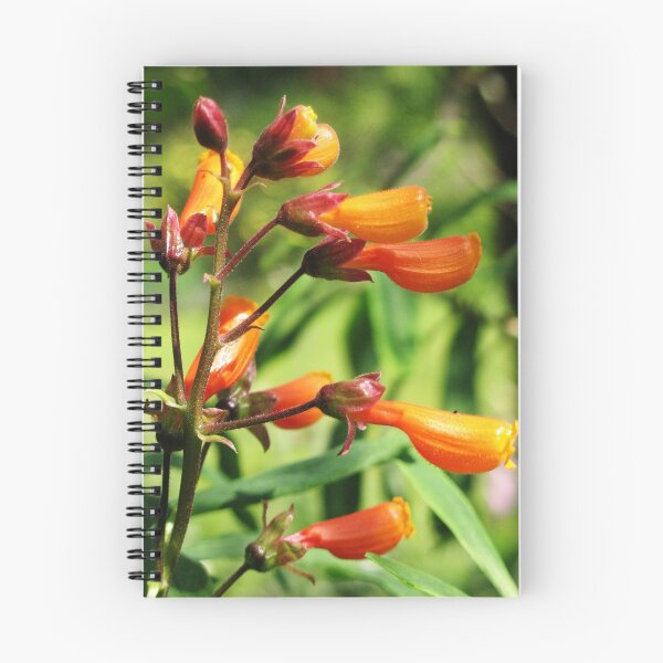 Item preview, Glory Vine designed and sold by jacqi.