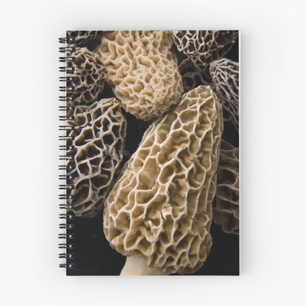 Item preview, Oregon River Morels designed and sold by OrPhotoJohn.