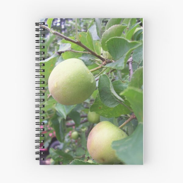 Item preview, Apple designed and sold by Raven Clark.