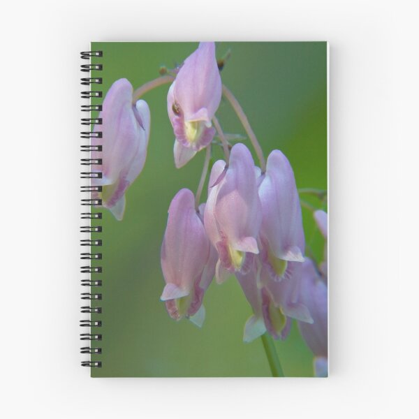 Item preview, Pacific Bleeding Heart designed and sold by OrPhotoJohn.
