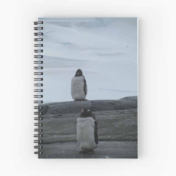 Aperçu de l'œuvre Penguins II créée et vendue par Alice Chai.