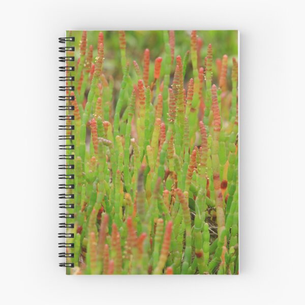 Item preview, River grass designed and sold by strangers.
