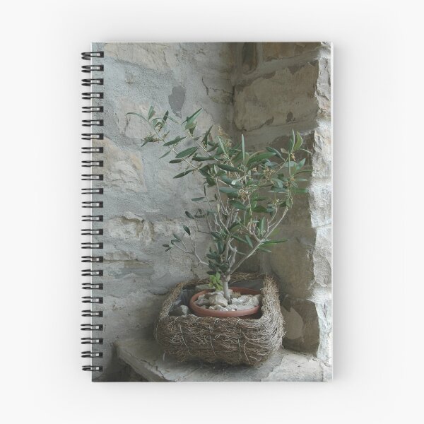 Item preview, Olive tree designed and sold by Laurens.