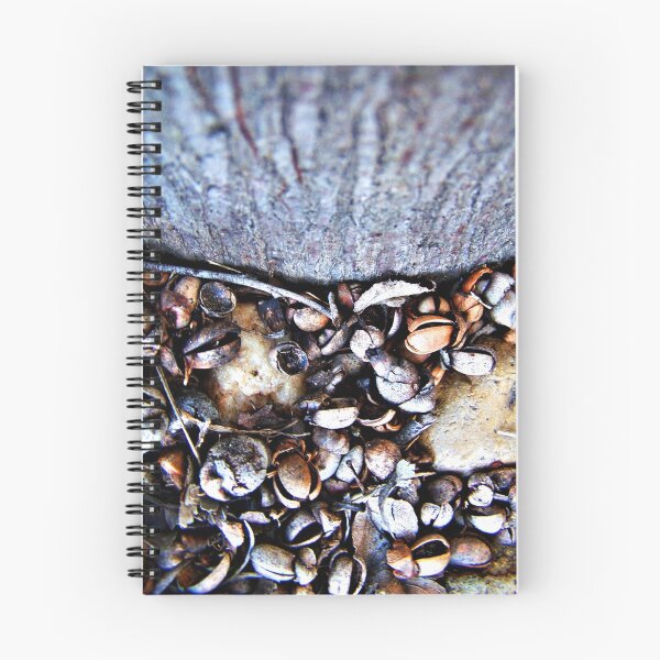 Aperçu de l'œuvre Seeds créée et vendue par Nat Douglas (njd photography).