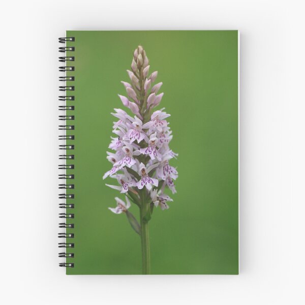 Item preview, Common Spotted Orchid designed and sold by godders.