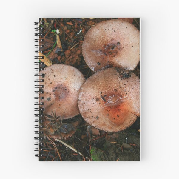 Item preview, Mushroom Circles designed and sold by orianne.