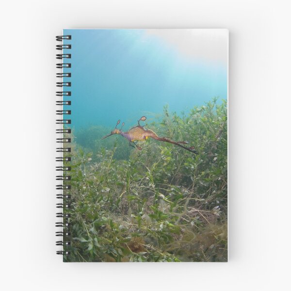 Item preview, Sea dragon designed and sold by Stephen Colquitt.