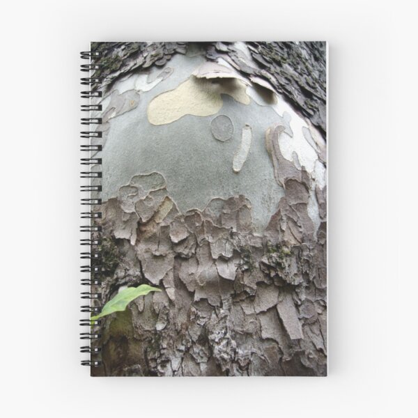 Item preview, Dali Incarnate designed and sold by butchart.