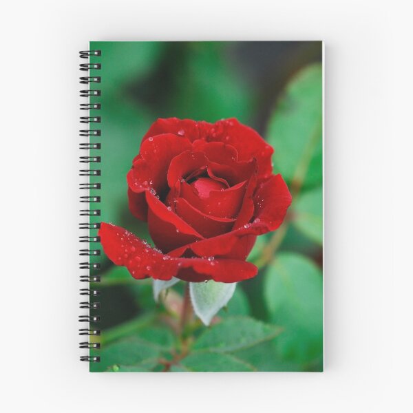 Item preview, Sea of Red and Green designed and sold by Michele Duncan IPA.