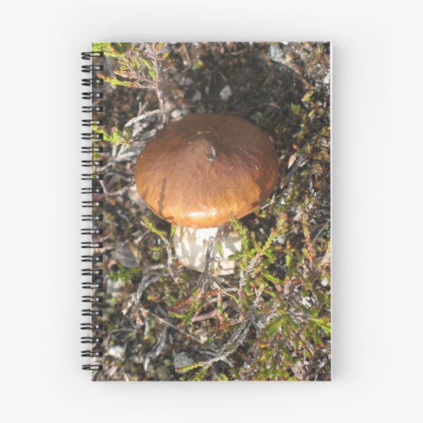 Artikelvorschau, Fungus entworfen und verkauft von jacqi.