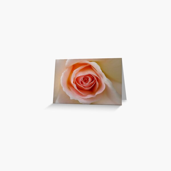 Morning Fresh Greeting Card