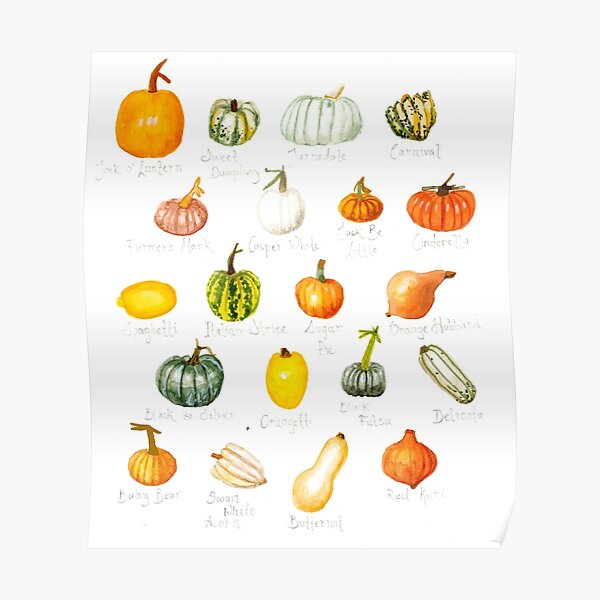 Pumpkin Varieties Poster