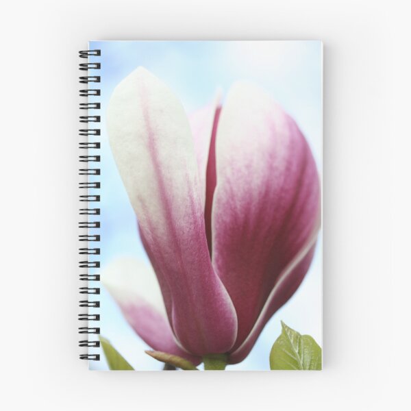 Artikelvorschau, Magnolia entworfen und verkauft von Catherine Tranter.